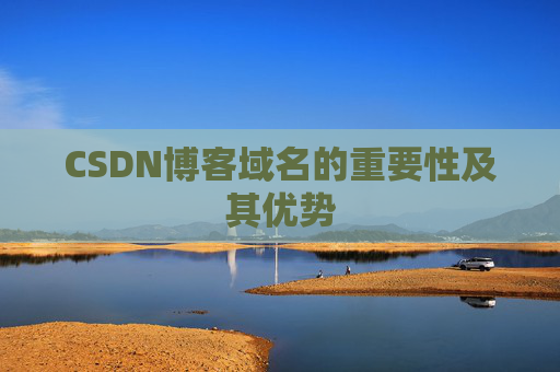 CSDN博客域名的重要性及其优势
